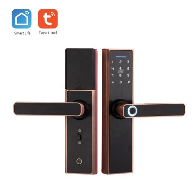 Tuya Intelligent Smart Door Lock With Anti Peeping Function